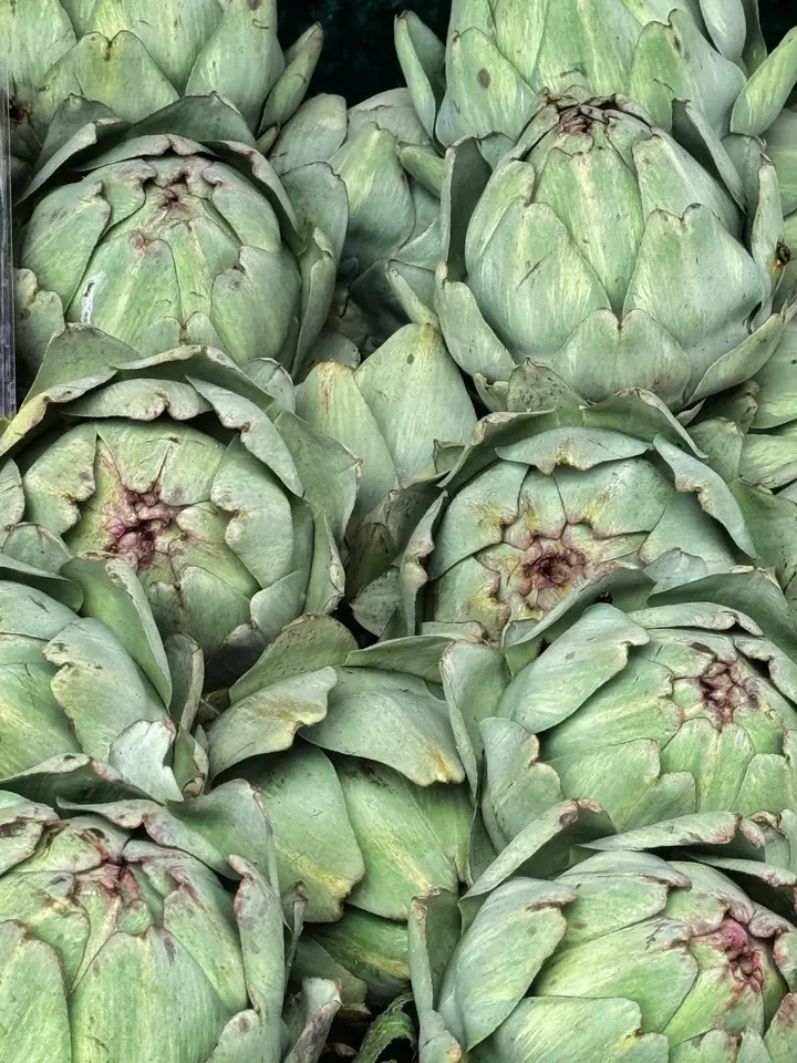Alcachofas recién cosechadas