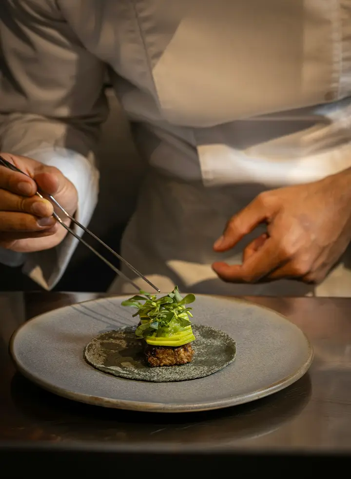 Unas manos terminan con pinzas un plato de verduras y hierbas